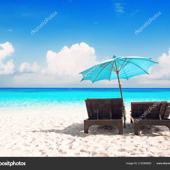 🎄 - Picture 5 of 10